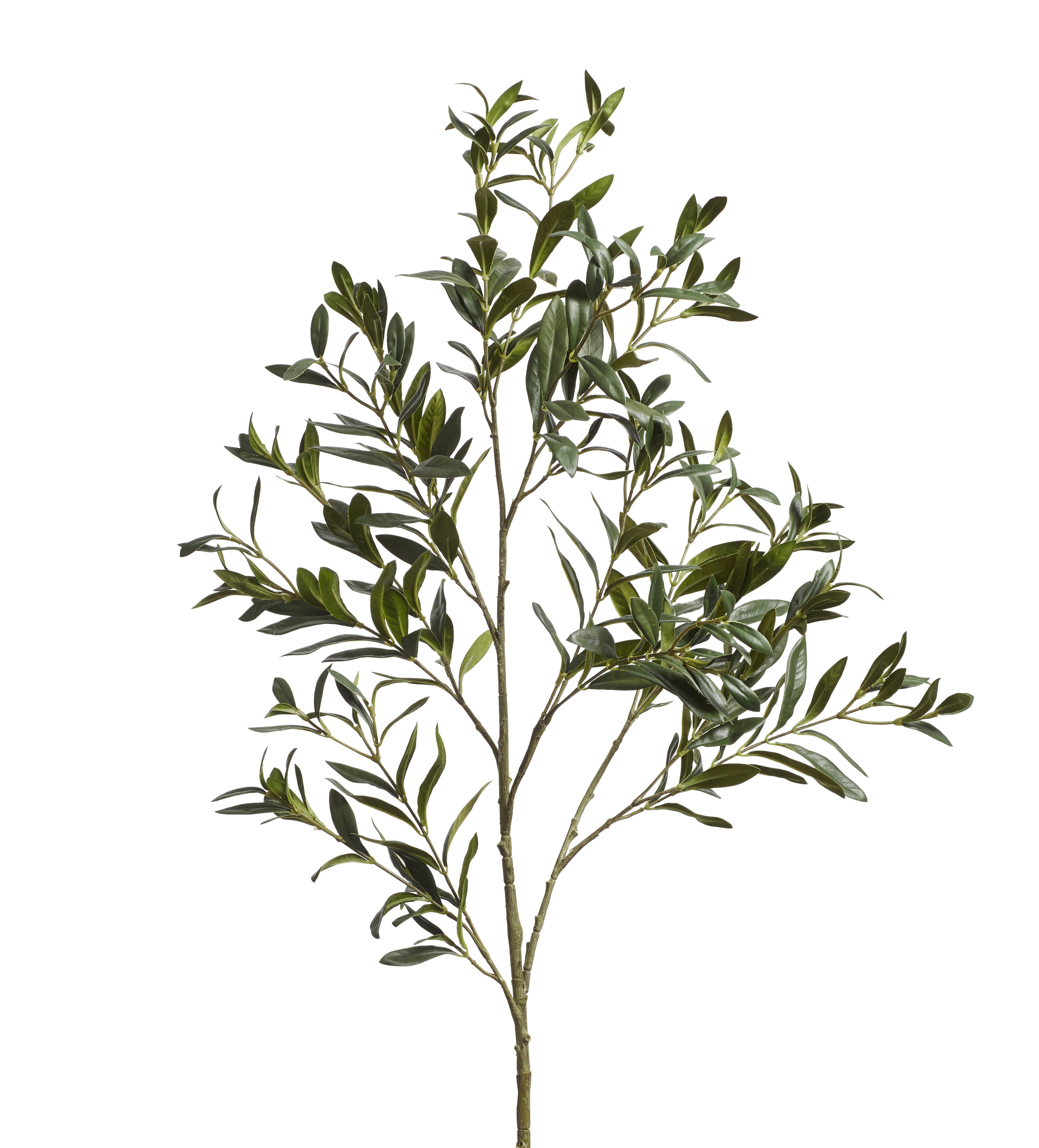 Faux Large Olive Branch - Green