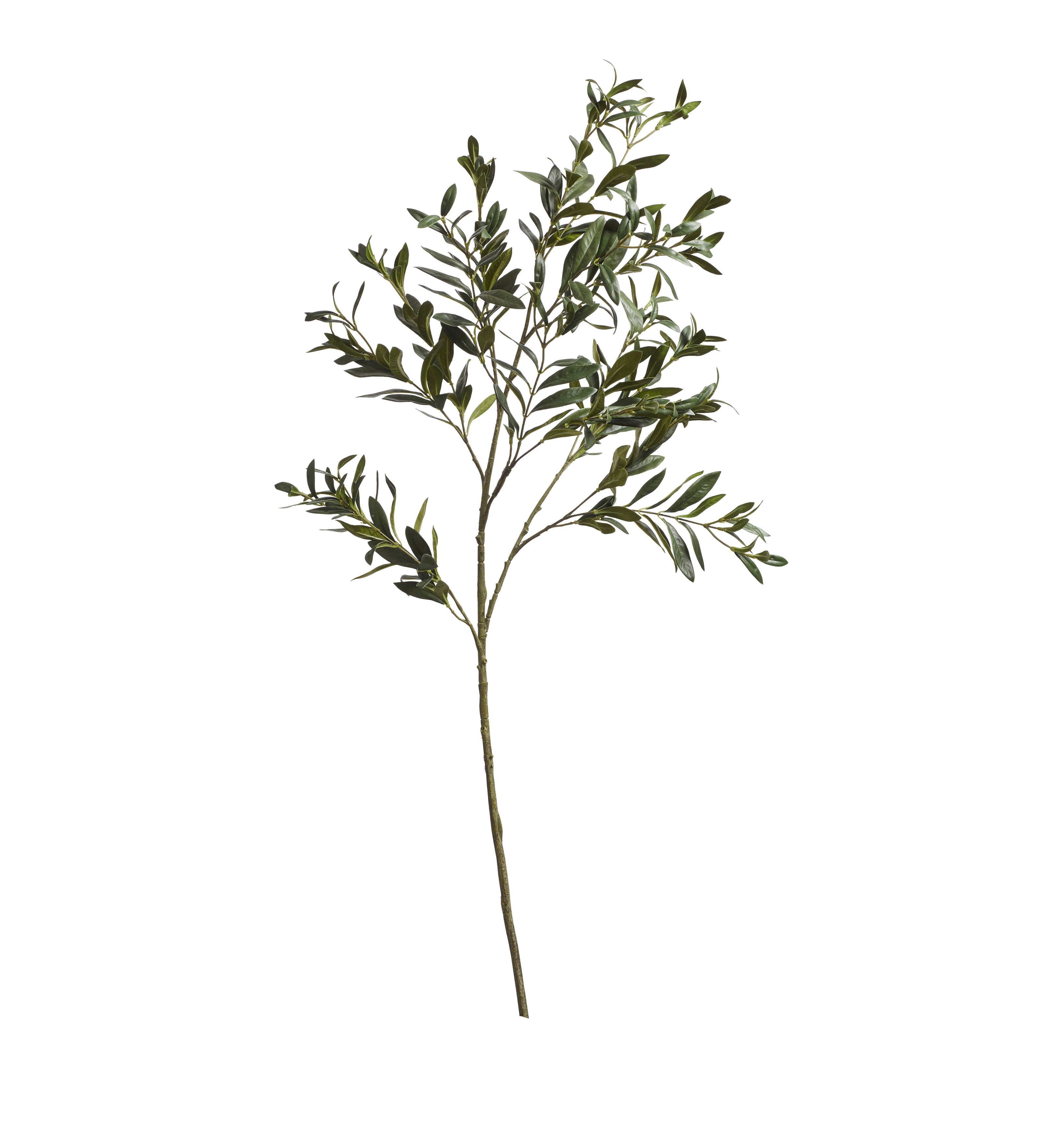Faux Large Olive Branch - Green