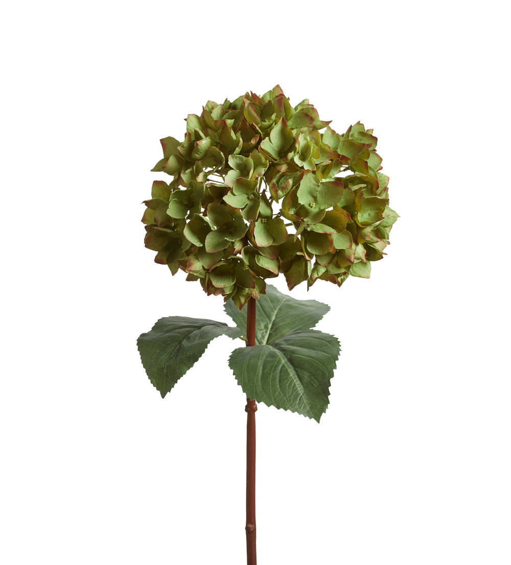 Faux Mophead Hydrangea Stem - Green