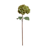 Faux Mophead Hydrangea Stem - Green