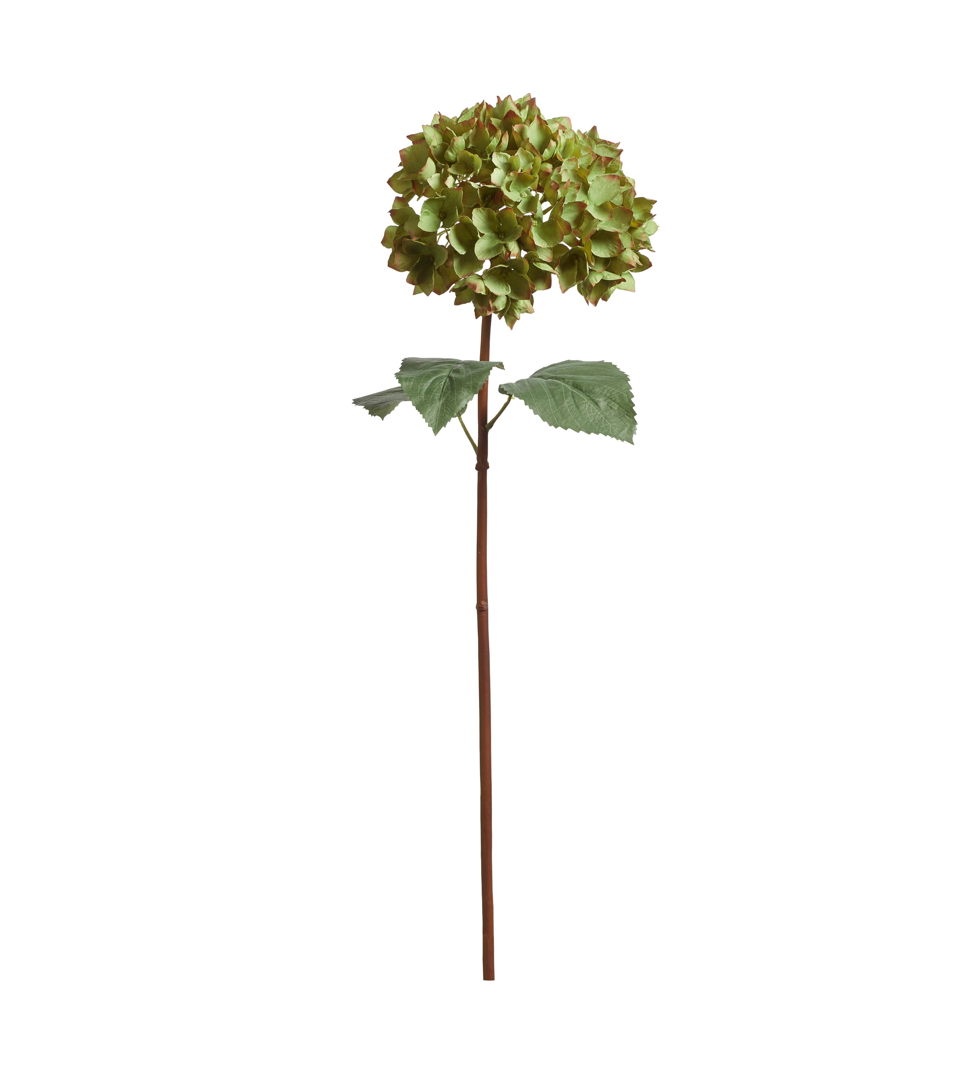 Faux Mophead Hydrangea Stem - Green
