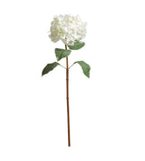 Mophead Hydrangea Stem - White