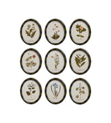 Ovalis Framed Floral Prints - Set of Nine - Multi