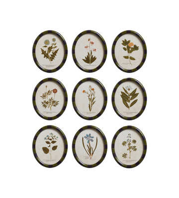 Ovalis Framed Floral Prints - Set of Nine - Multi