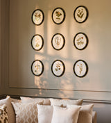 Ovalis Framed Floral Prints - Set of Nine - Multi