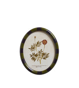 Ovalis Framed Floral Prints - Set of Nine - Multi