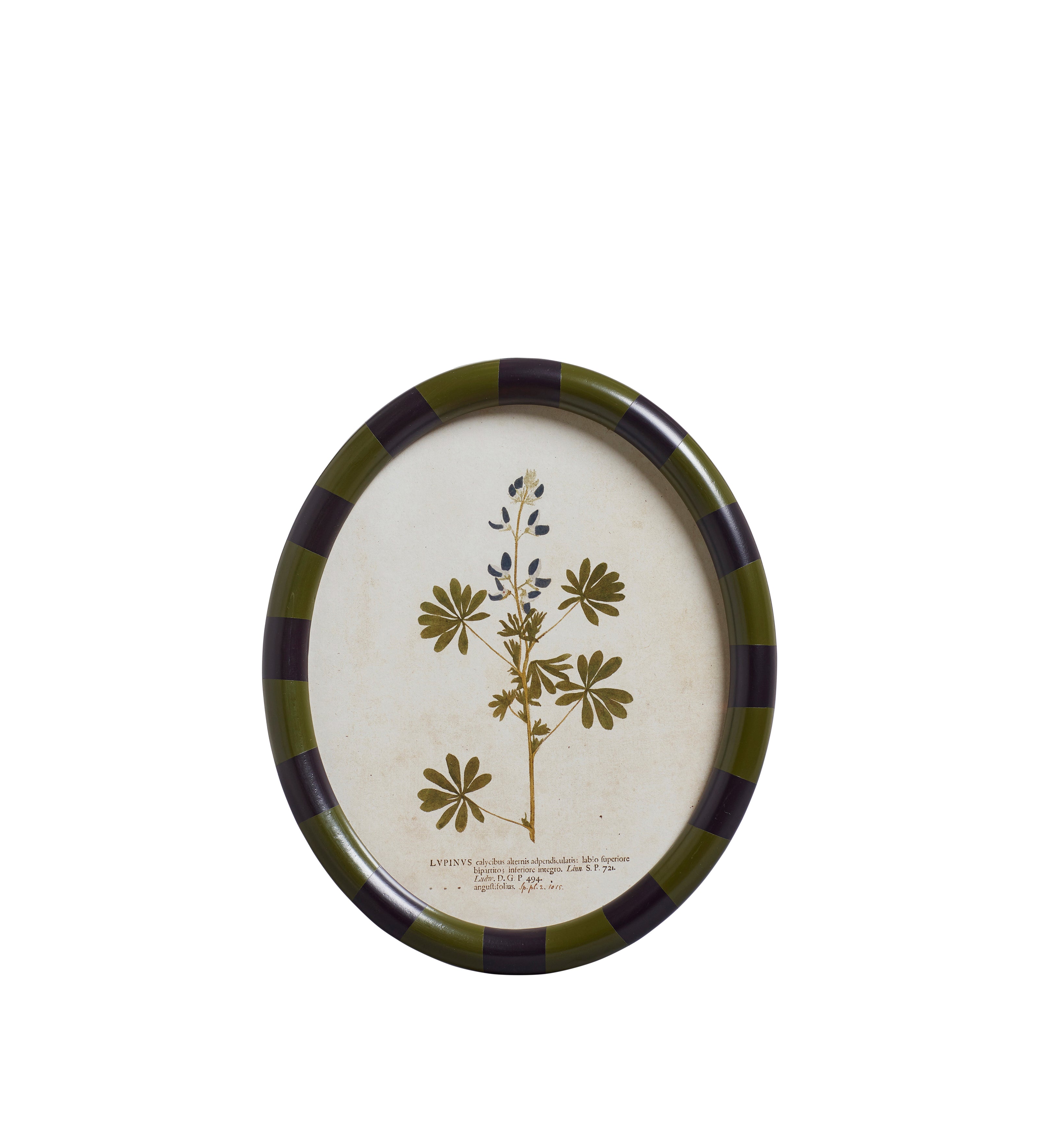 Ovalis Framed Floral Prints - Set of Nine - Multi
