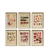 Patimeno Framed Petal Prints - Set of Six - Multi