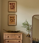 Patimeno Framed Petal Prints - Set of Six - Multi
