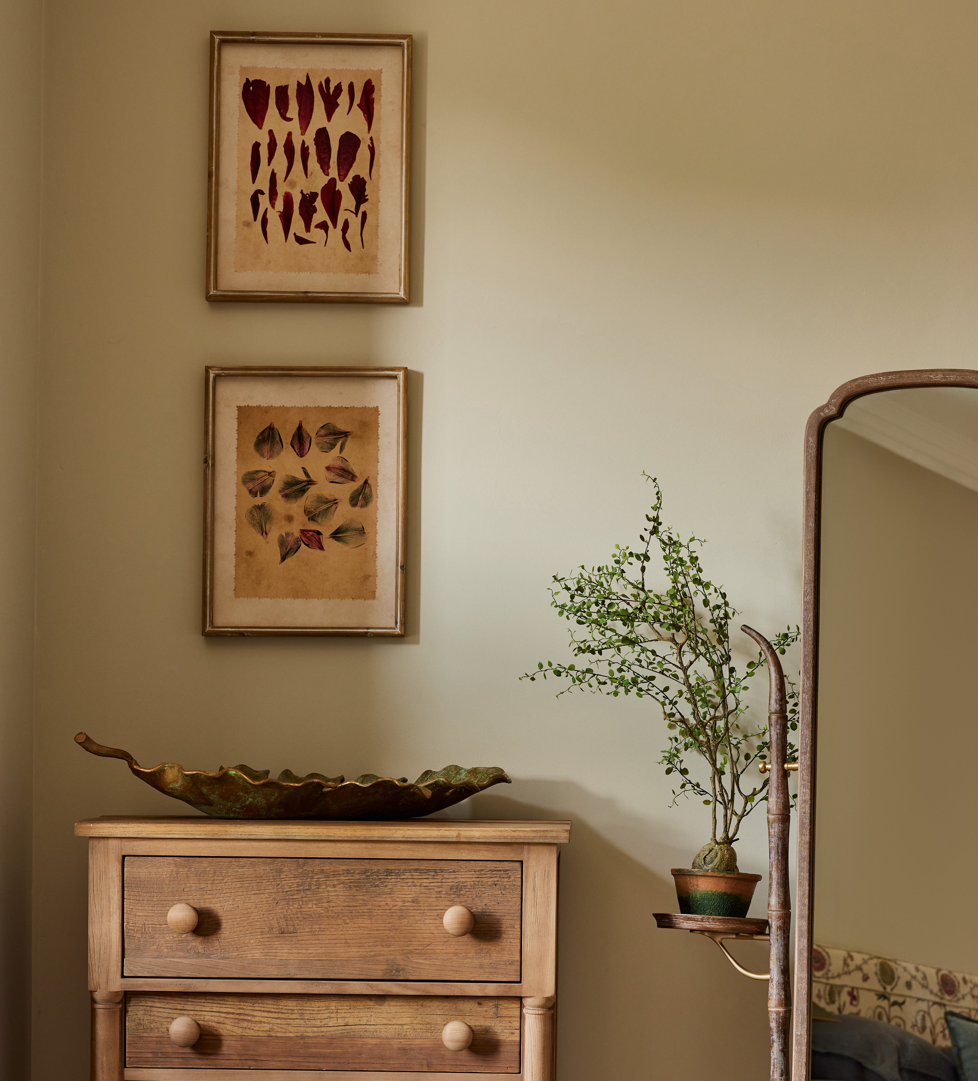 Patimeno Framed Petal Prints - Set of Six - Multi