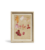 Patimeno Framed Petal Prints - Set of Six - Multi