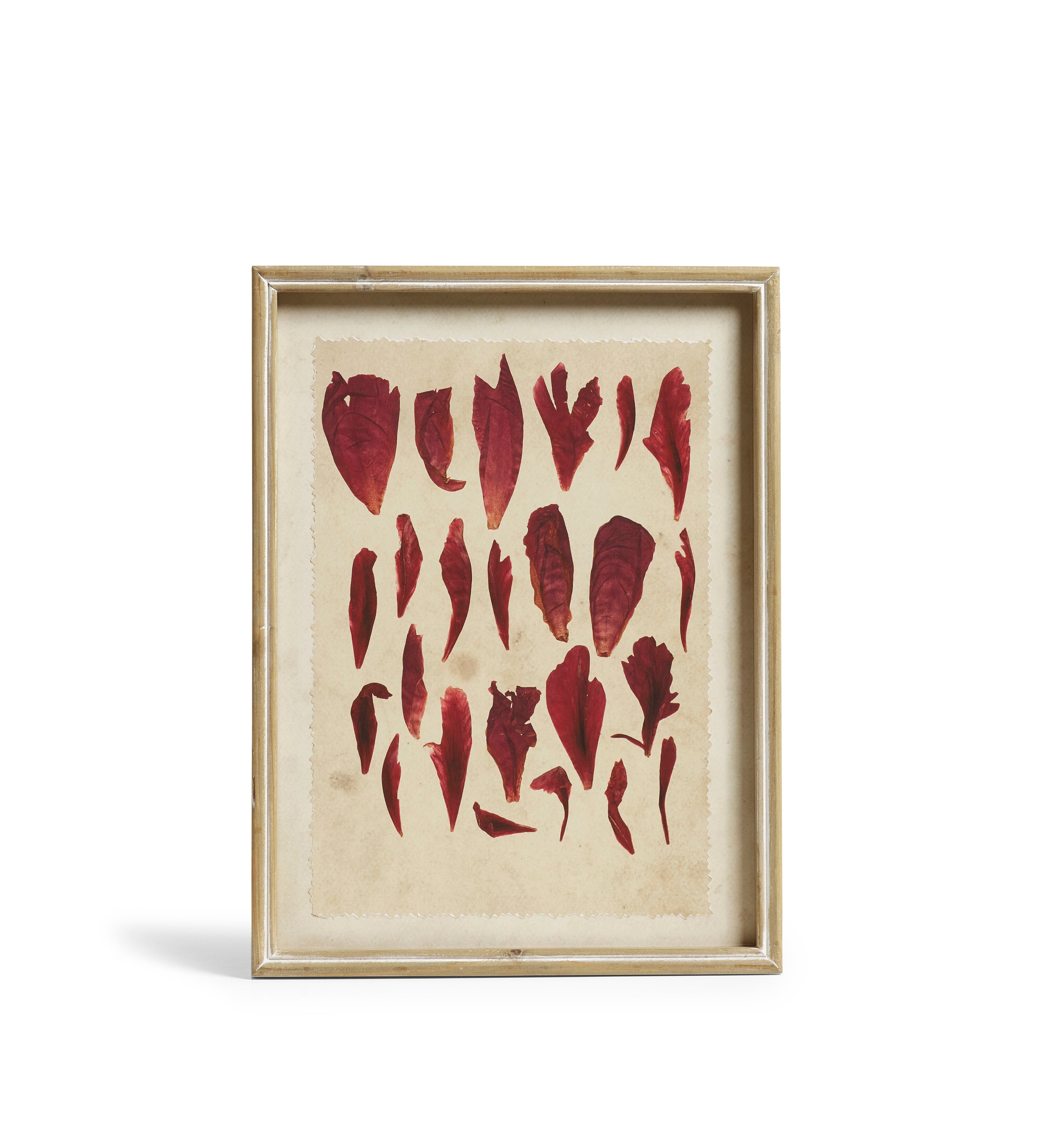 Patimeno Framed Petal Prints - Set of Six - Multi