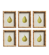 Poire Prints - Set of Six - Multi
