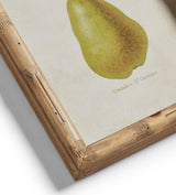 Poire Prints - Set of Six - Multi