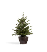 Faux Pre-Lit Christmas Tree - Potted - Spruce