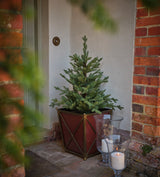 Faux Pre-Lit Christmas Tree - Potted - Spruce