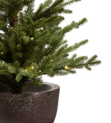 Faux Pre-Lit Christmas Tree - Potted - Spruce