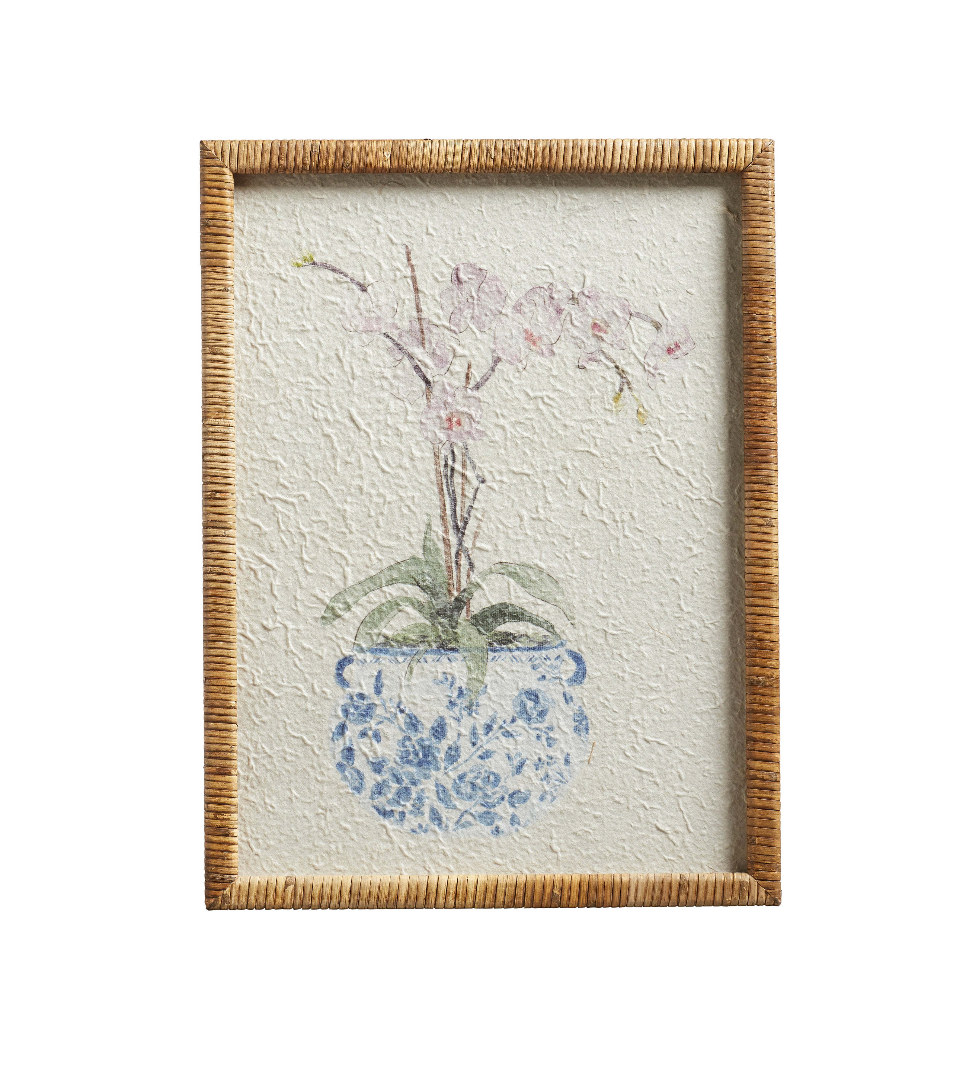 Quartet in Bloom Prints - Set of Four - Multi