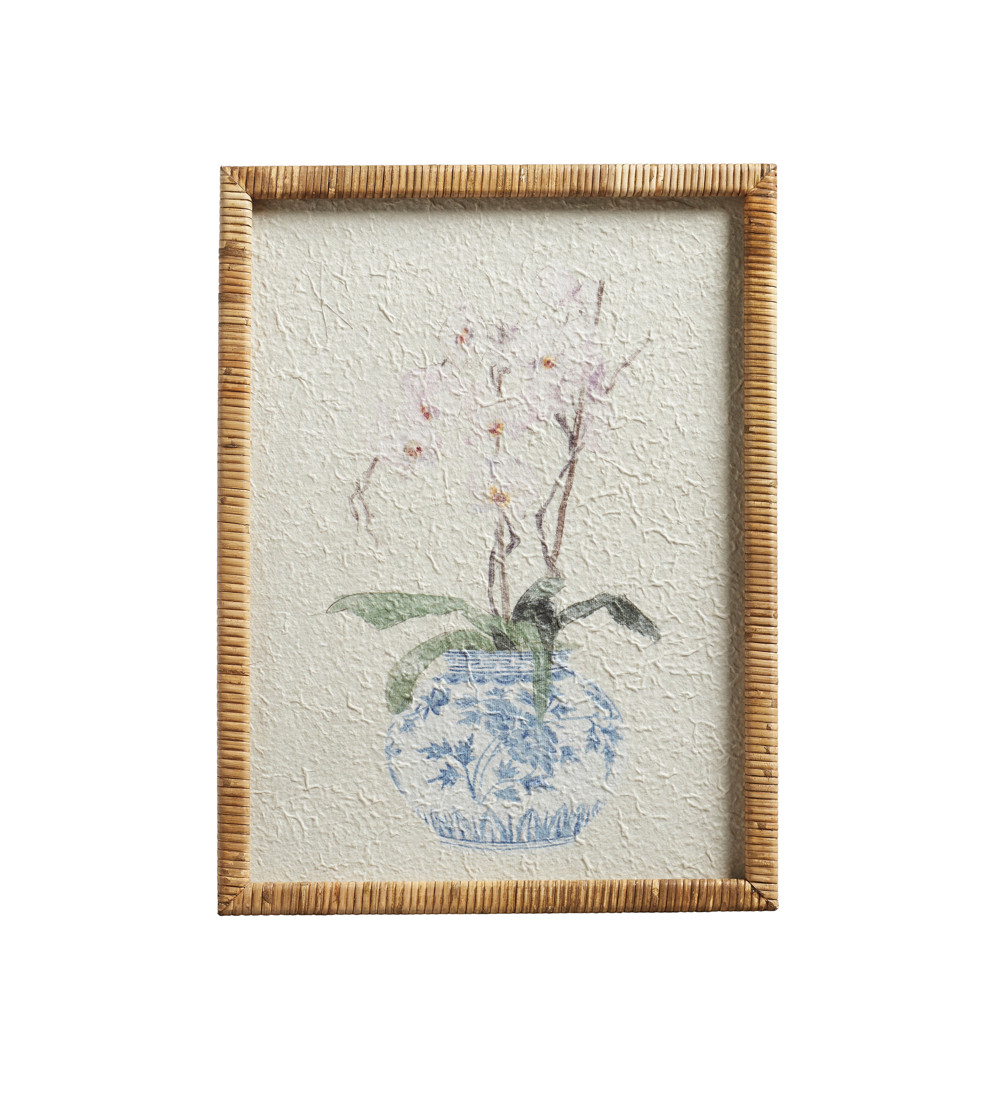 Quartet in Bloom Prints - Set of Four - Multi