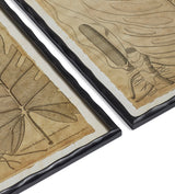 Basilius Framed Leaf Prints - Set of Four - Natural