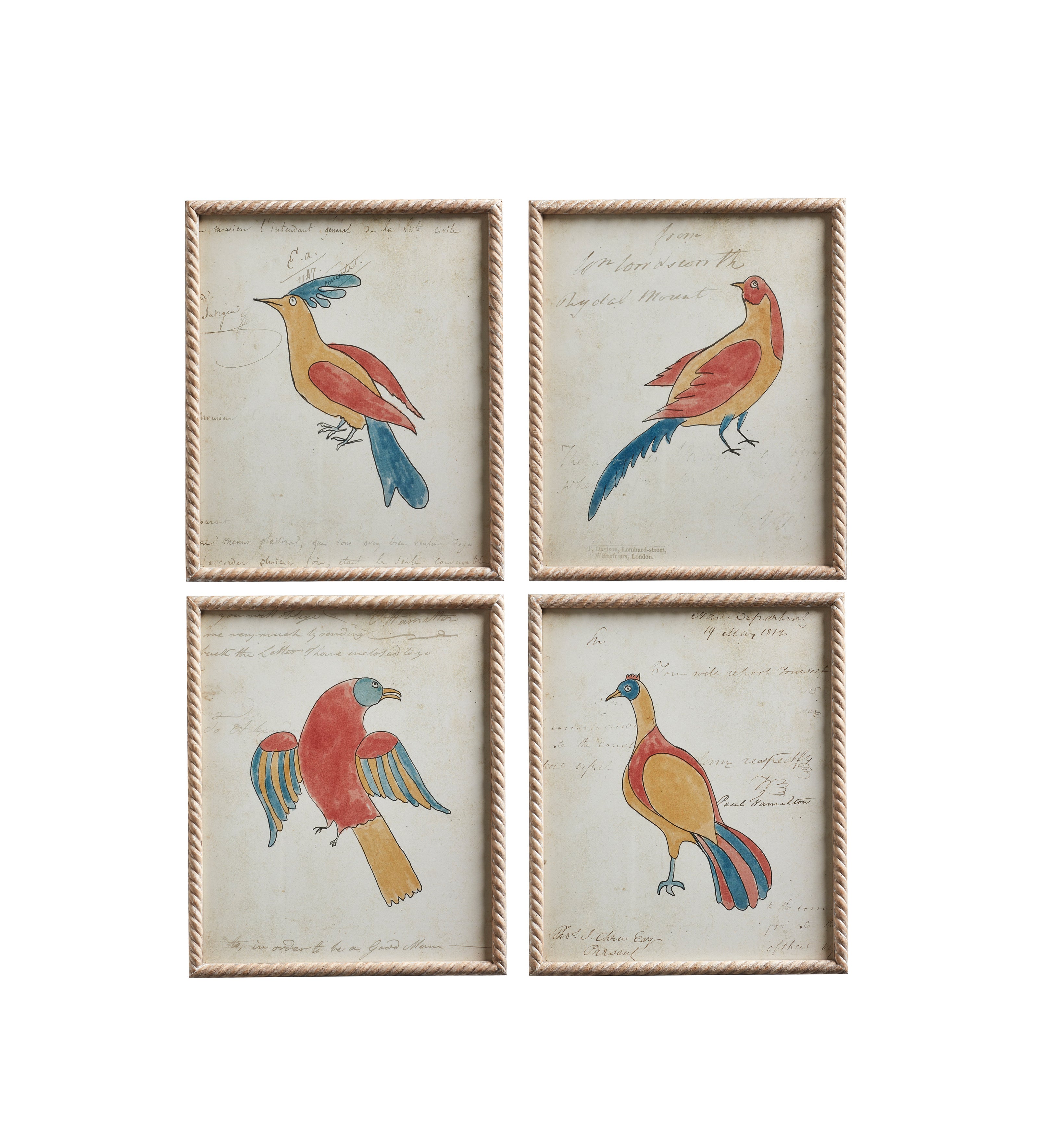 Framed Carara Bird Prints - Set of Four - Multi