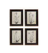 Framed Narin Prints - Set of Four - Multi