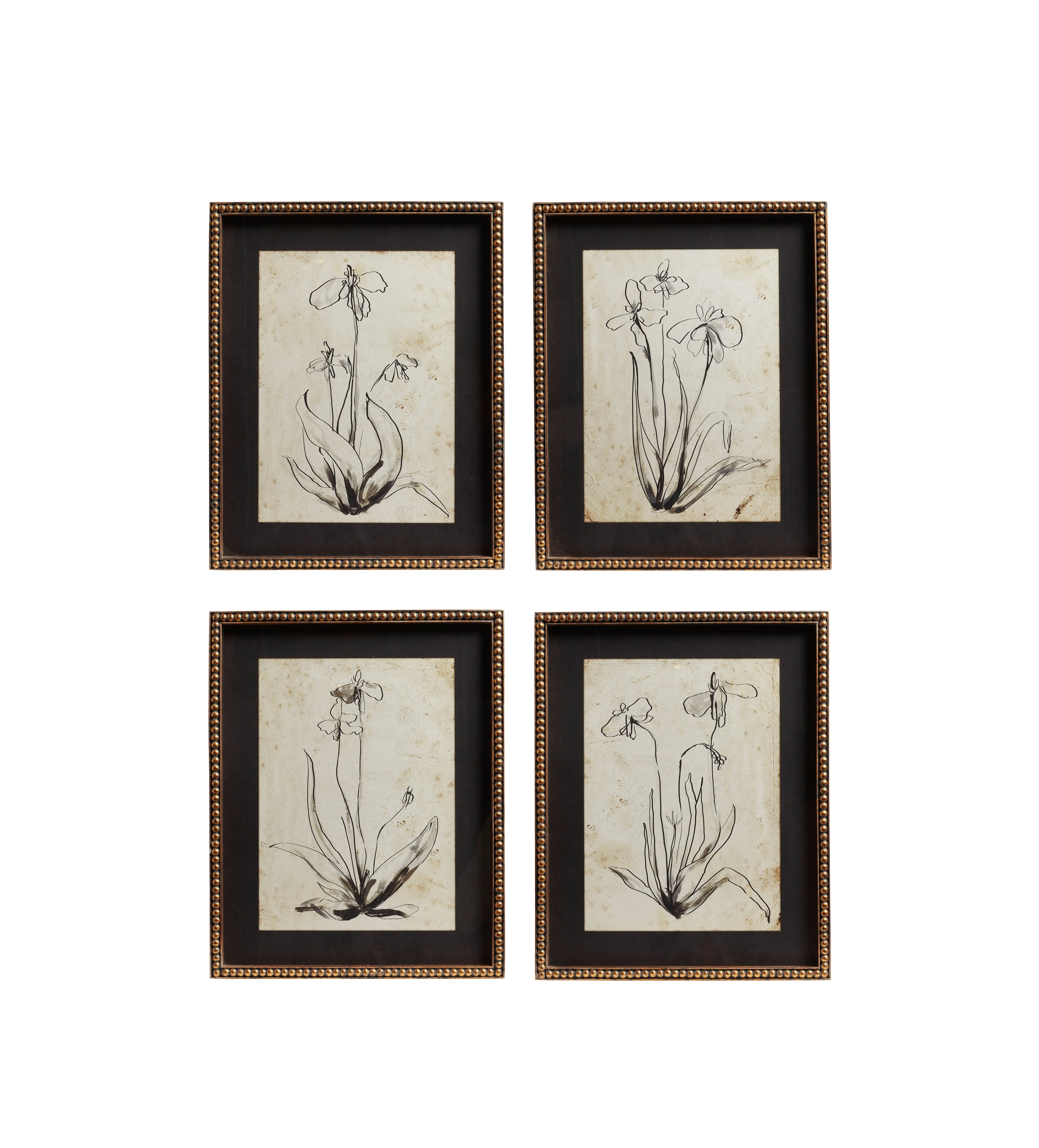 Framed Narin Prints - Set of Four - Multi