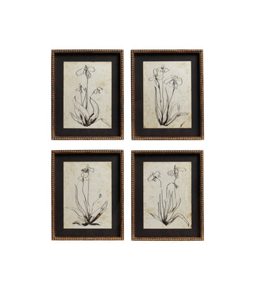 Framed Narin Prints - Set of Four - Multi