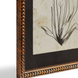 Framed Narin Prints - Set of Four - Multi