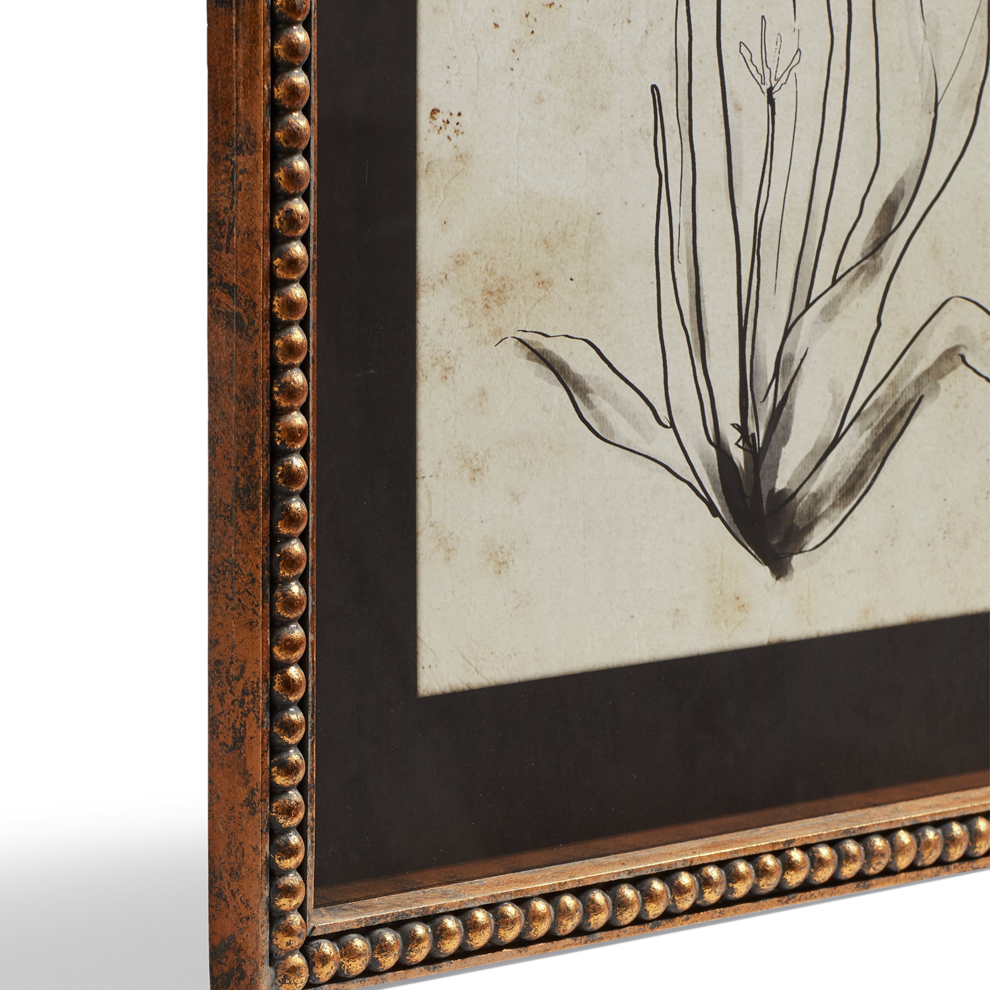 Framed Narin Prints - Set of Four - Multi