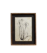 Framed Narin Prints - Set of Four - Multi