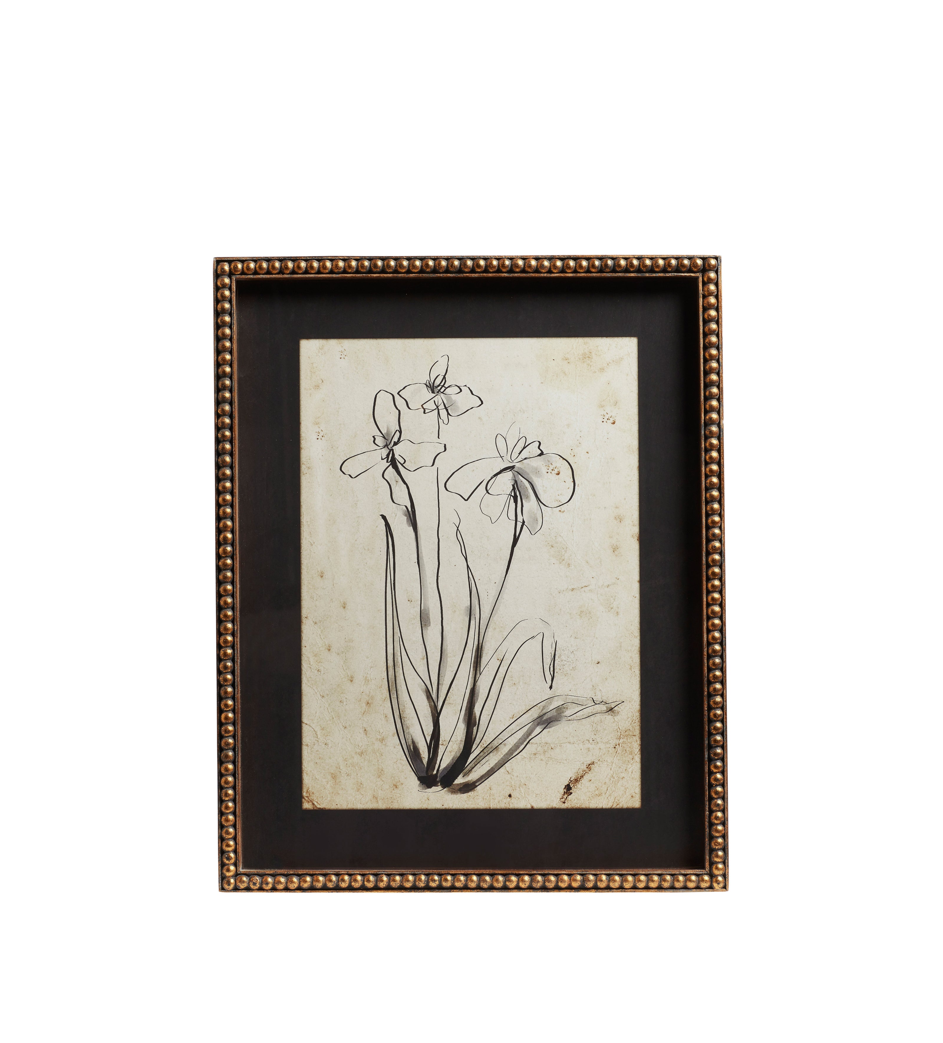 Framed Narin Prints - Set of Four - Multi