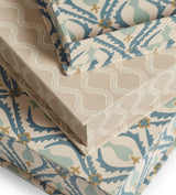 Cornelia and Zostera Box Files - Set of Three - Multi