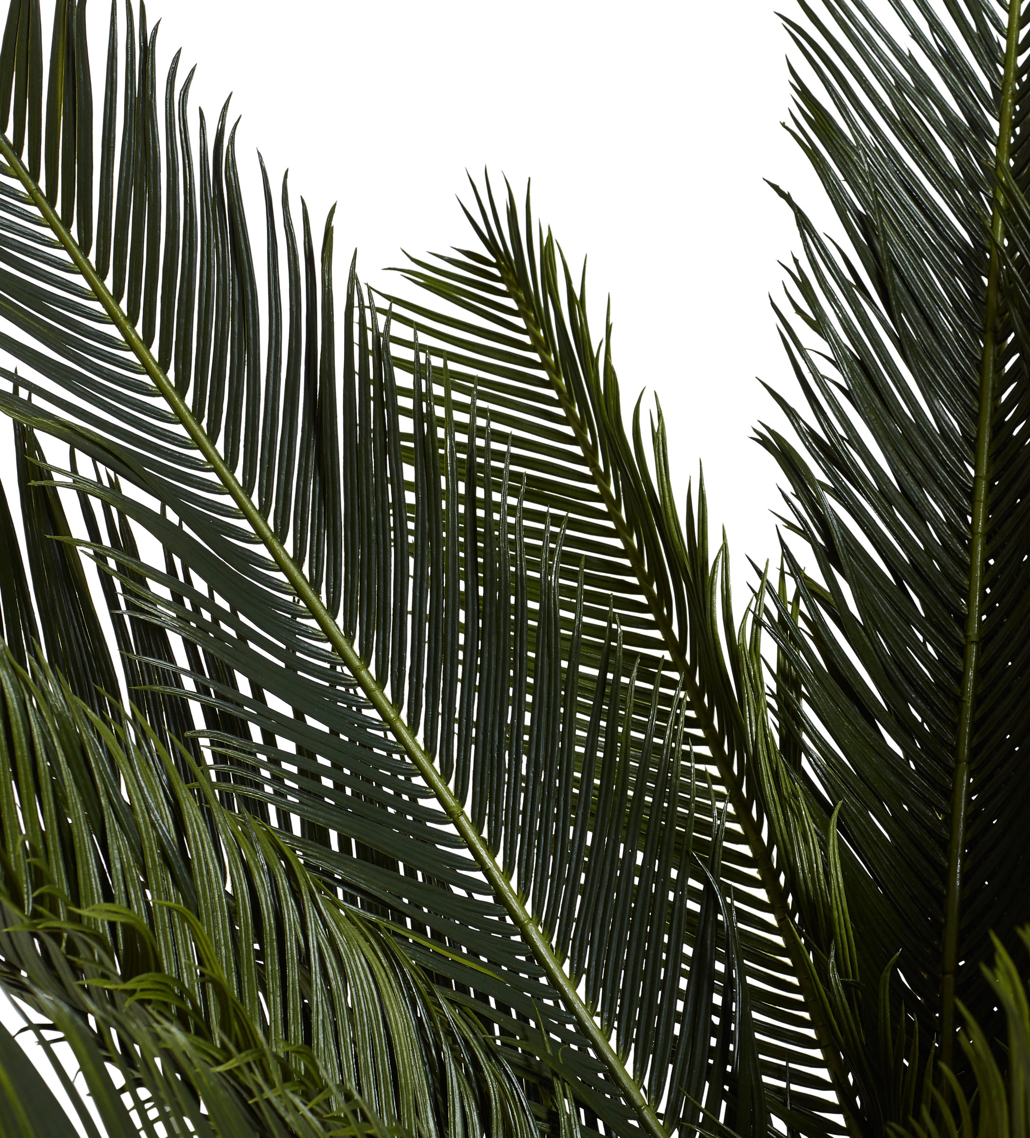 Short Faux Potted Palm Tree - Green