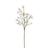 Single Willow Stem - Green