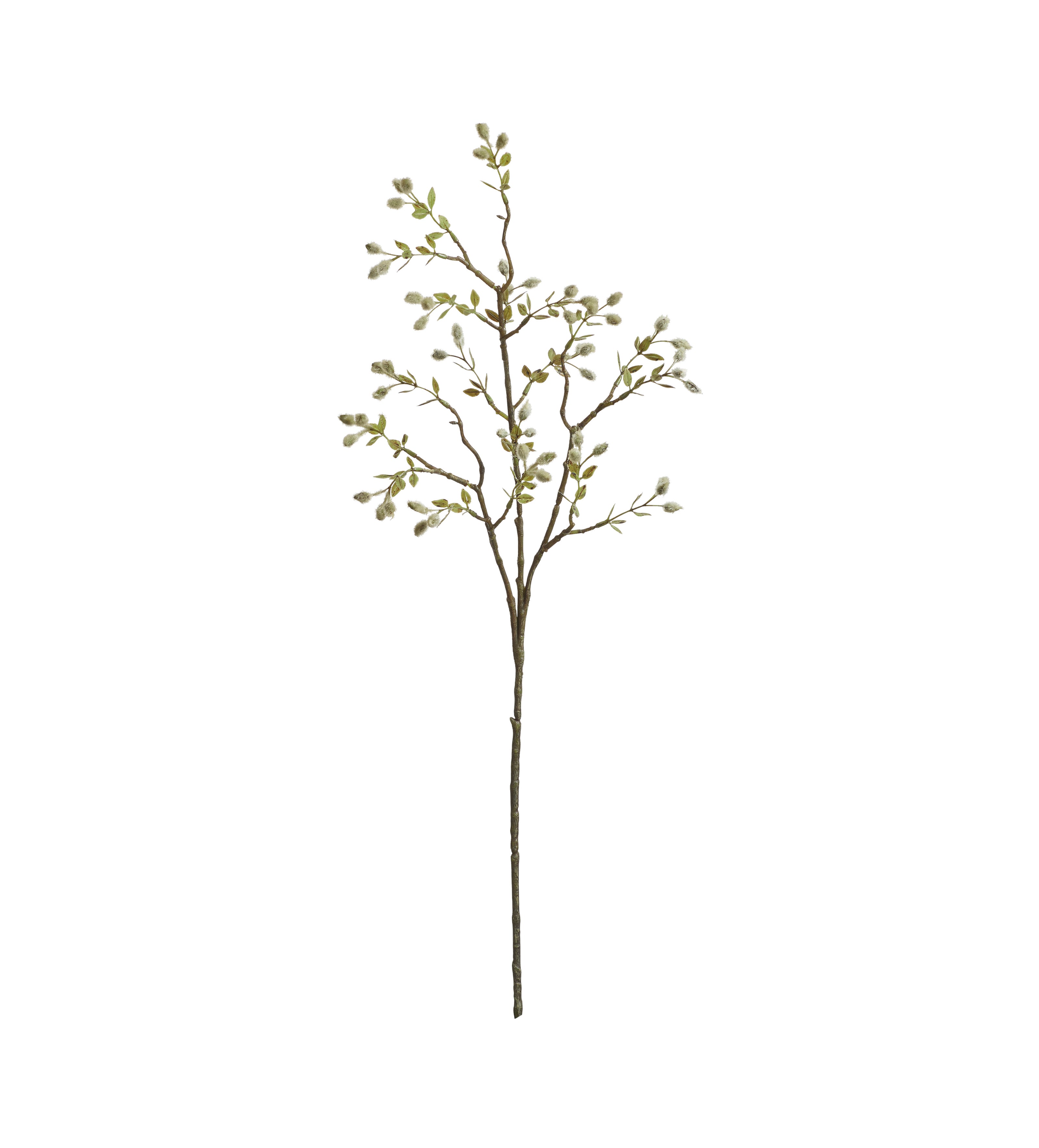 Single Willow Stem - Green