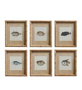 Six Poissons Prints - Set of Six - Multi