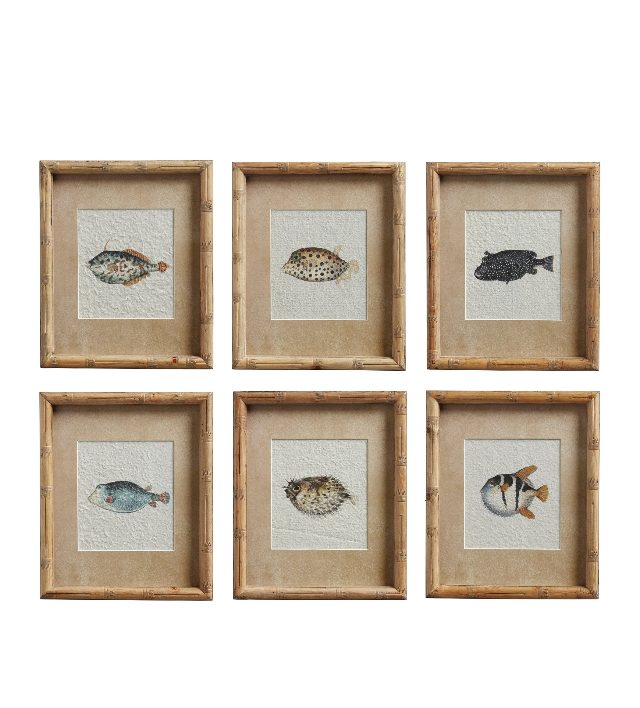 Six Poissons Prints - Set of Six - Multi