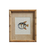 Six Poissons Prints - Set of Six - Multi