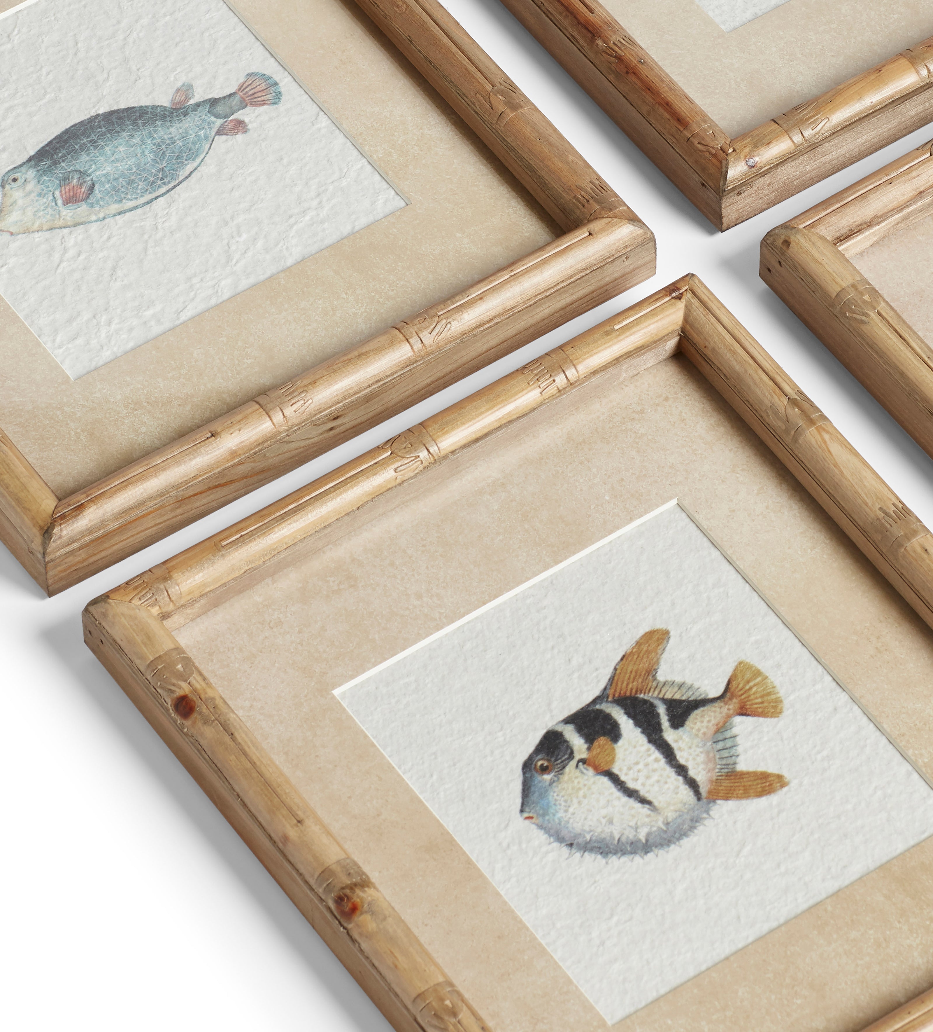Six Poissons Prints - Set of Six - Multi