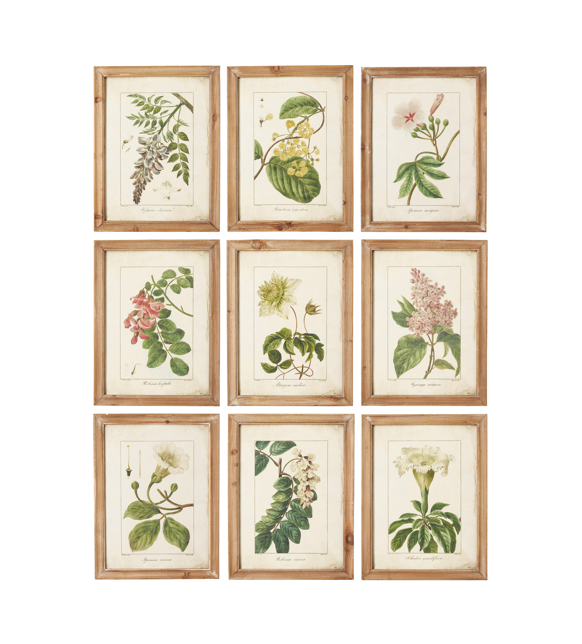 Summer Garden Framed Prints Set Nine