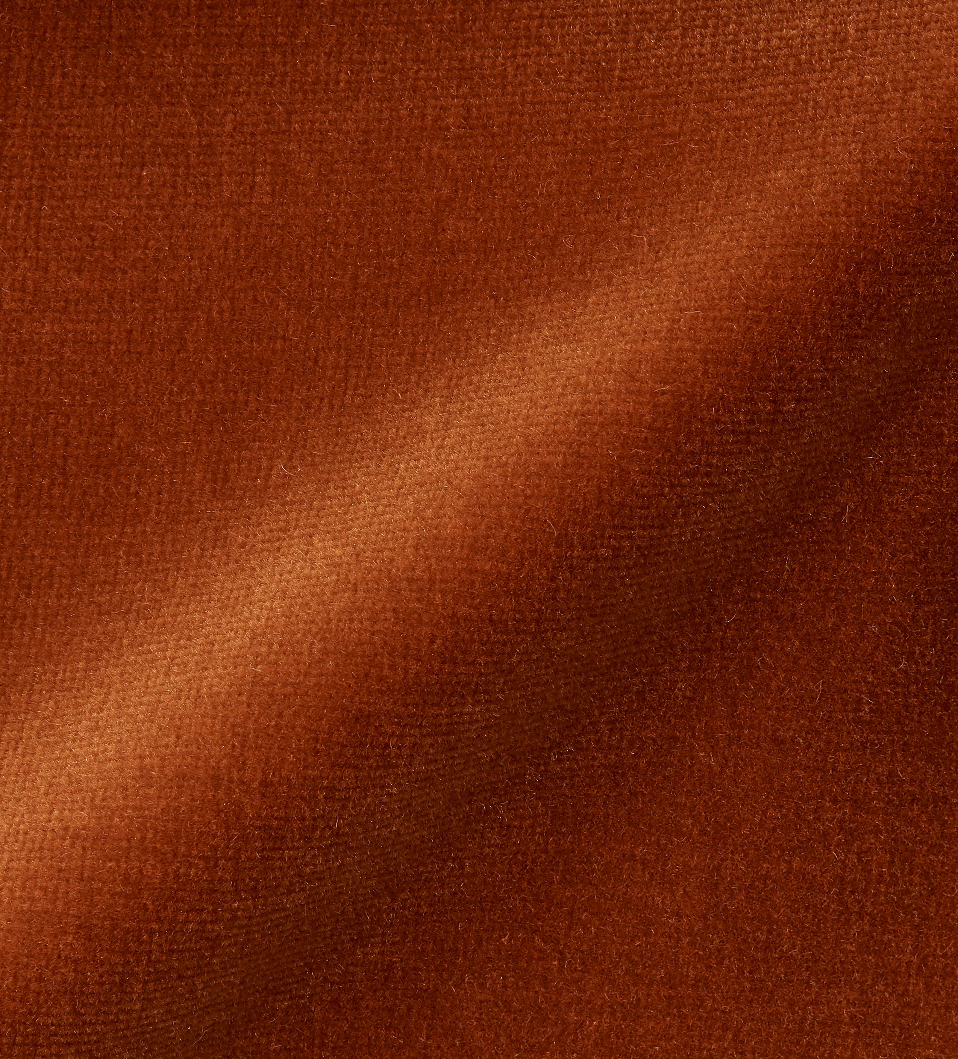 Velvet Fabric Swatch - Dirty Orange