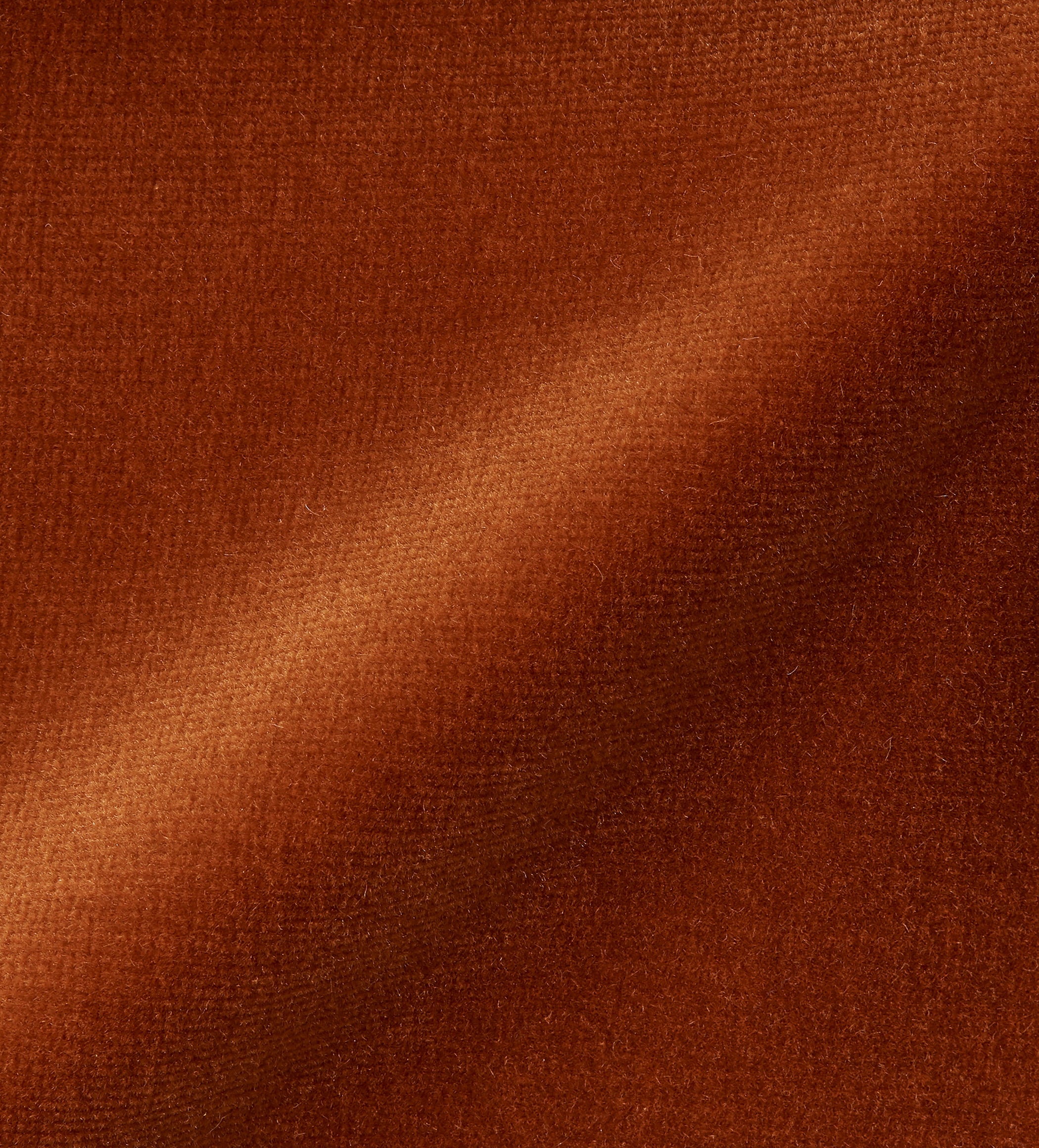 Velvet - Dirty Orange
