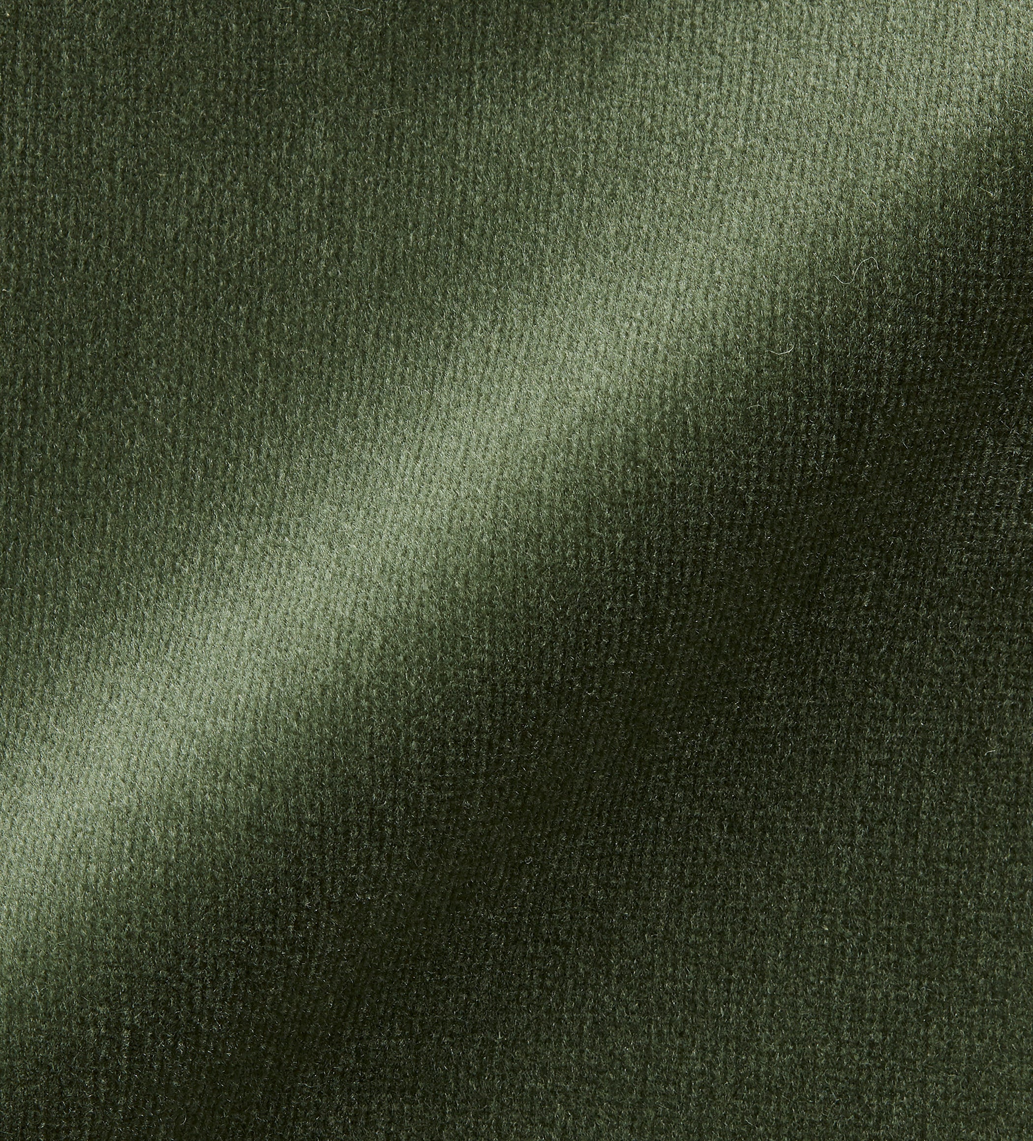 Velvet - Moss