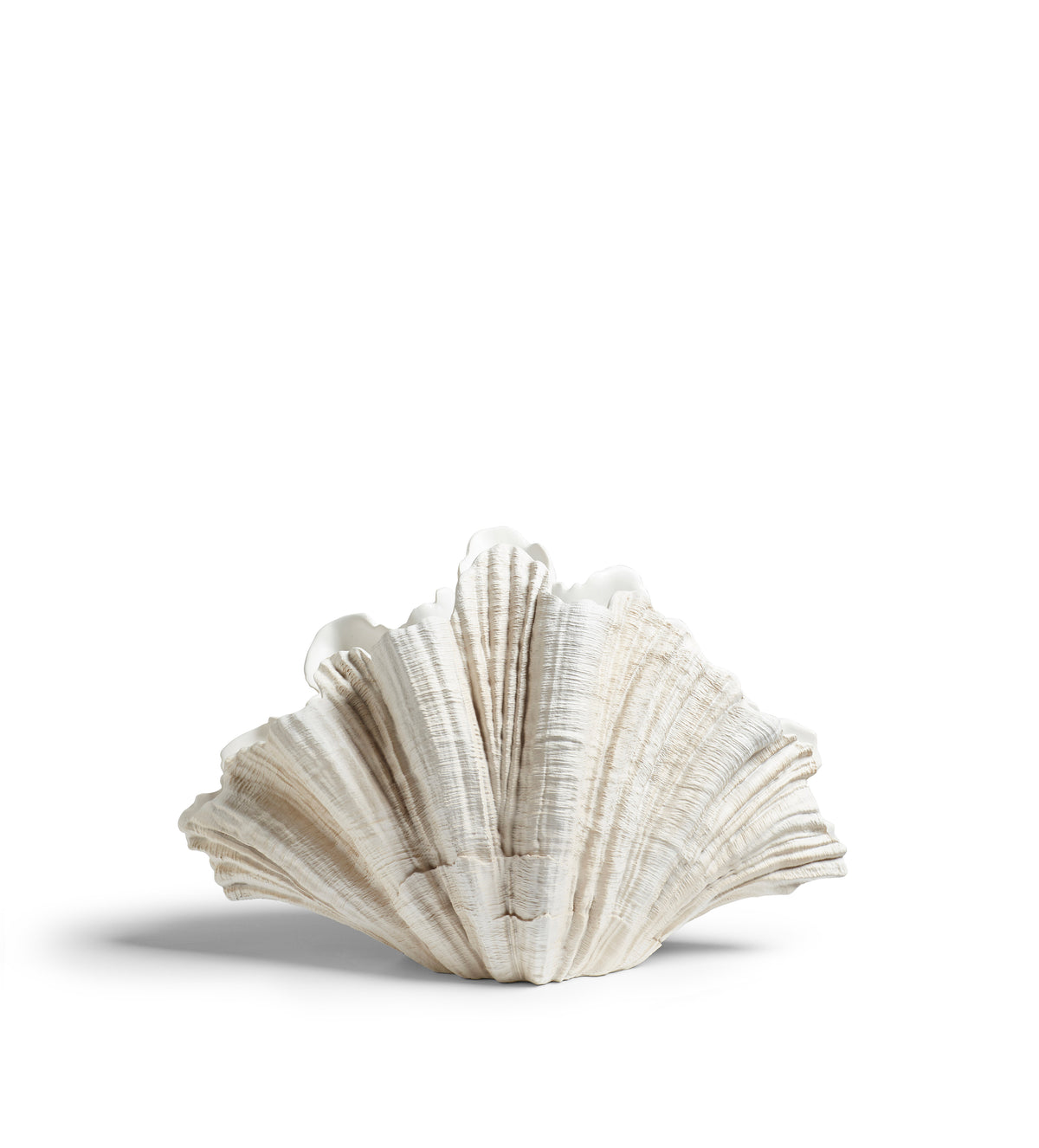Venusia Clam Shell - Off White | OKA