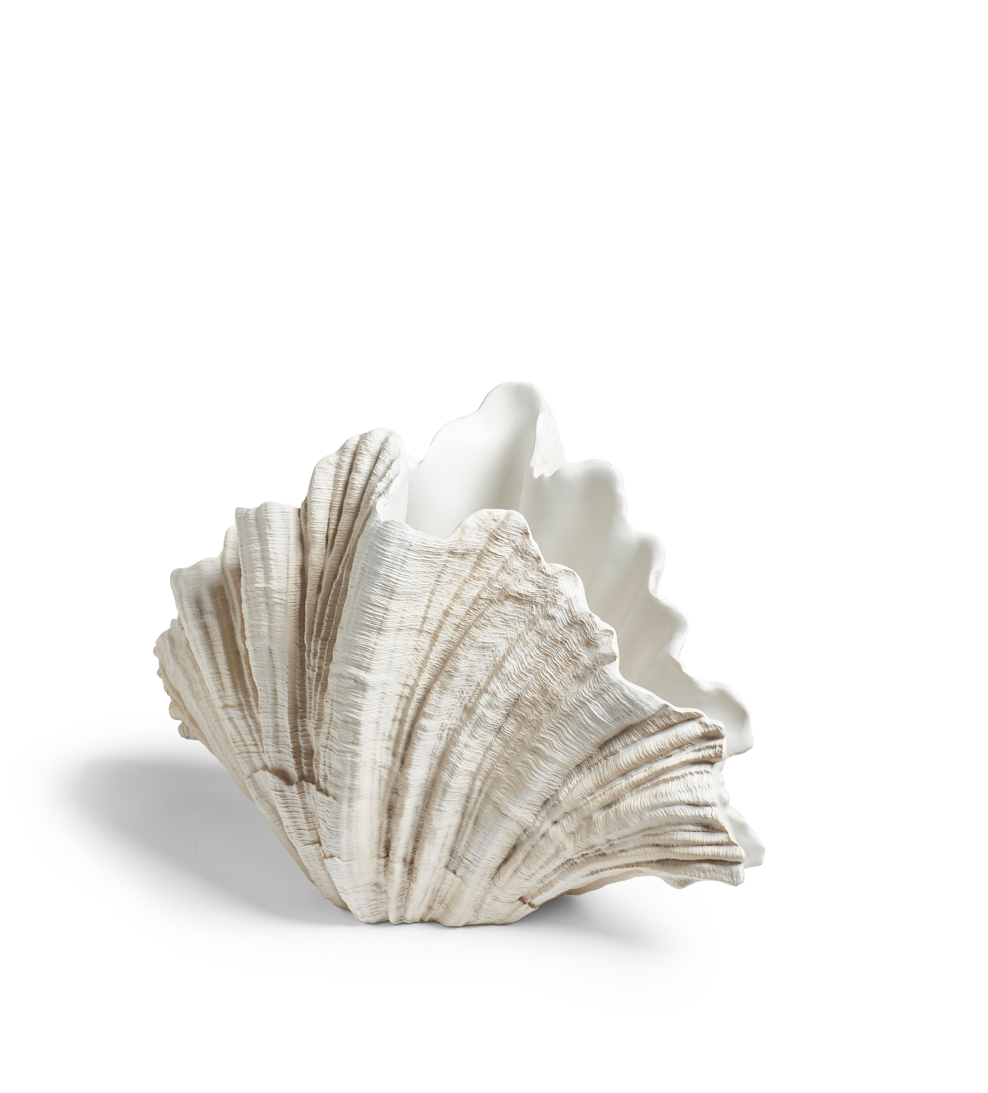 Venusia Clam Shell - Off White