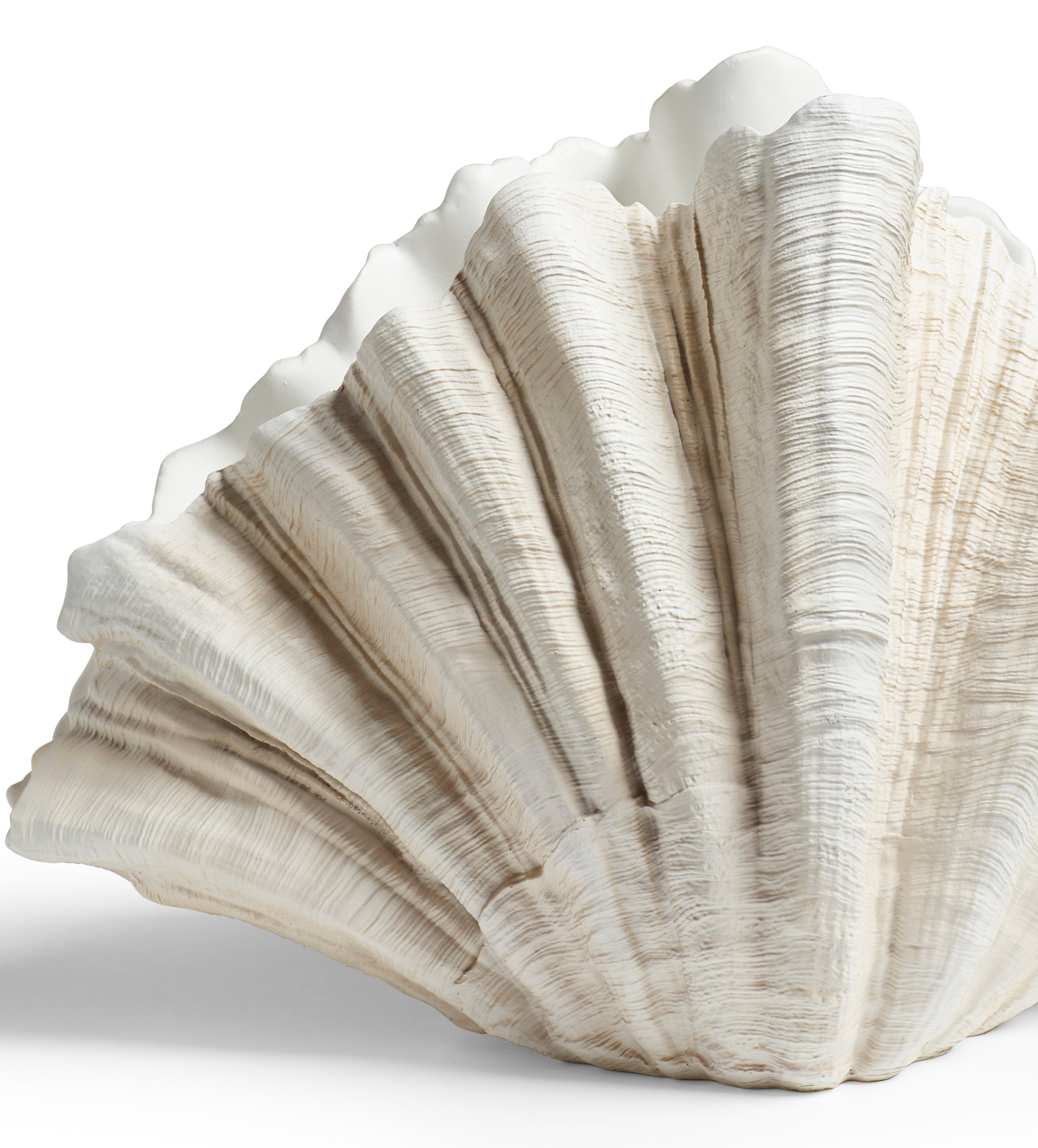 Venusia Clam Shell - Off White