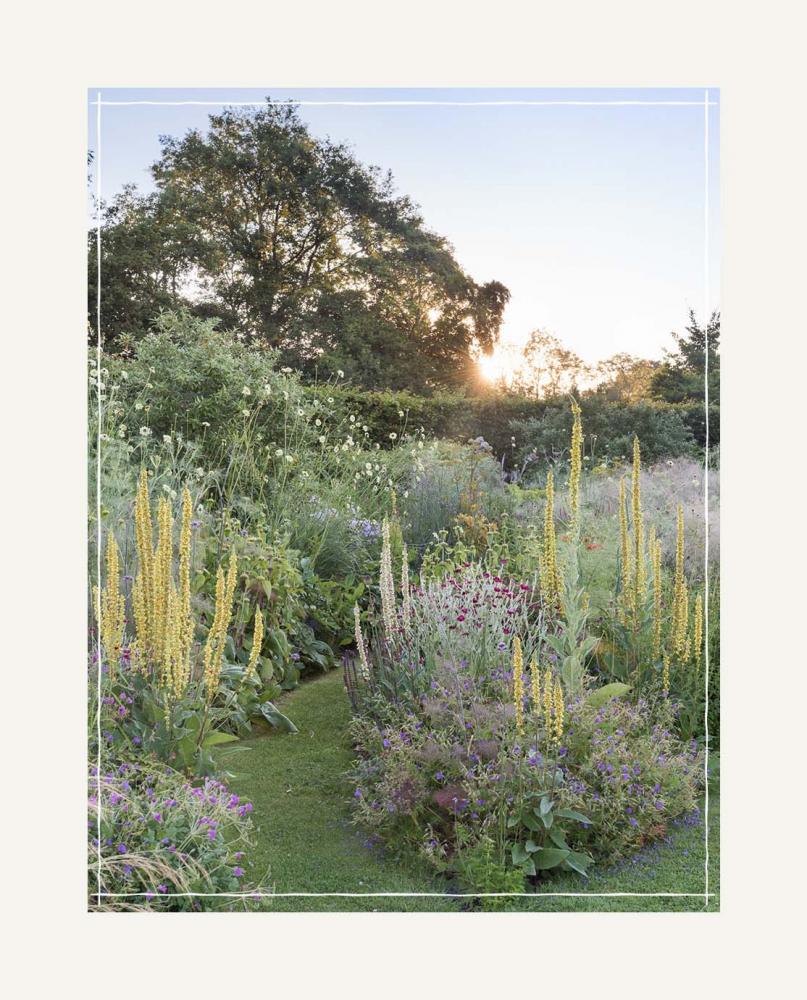 A garden path with colorful flower beds either side