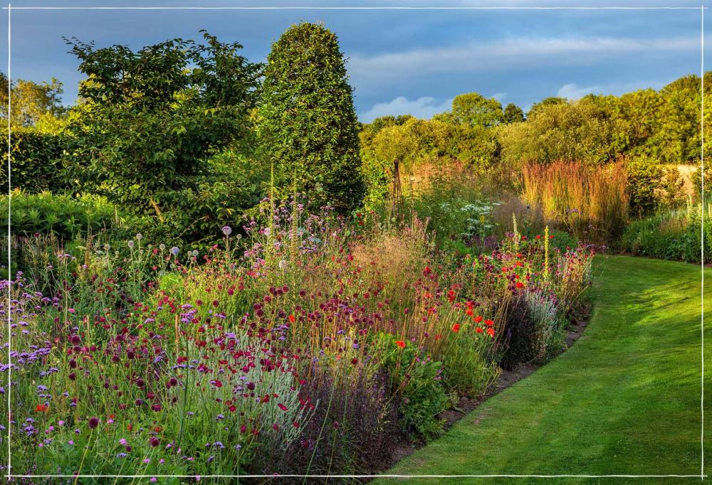 A beautiful corner of an English country garden with a patch of colourful flowers