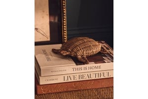 Rattan: Everything You’ve Ever Wanted To Know 